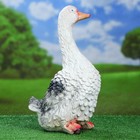 Садовая фигура "Гусь", серый цвет, 46 см - Фото 3