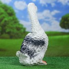 Садовая фигура "Гусь", серый цвет, 46 см - Фото 4