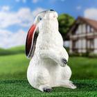 Садовая фигура "Заяц", гипс, 30 см, микс - Фото 3