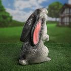 Садовая фигура "Заяц", гипс, 30 см, микс - Фото 8