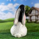 Садовая фигура "Заяц", гипс, 30 см, микс - Фото 5