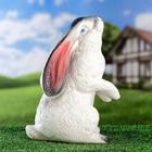 Садовая фигура "Заяц", гипс, 30 см, микс - Фото 4
