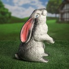 Садовая фигура "Заяц", гипс, 30 см, микс - Фото 6