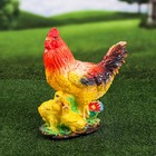 Садовая фигура "Курица", белый цвет, гипс, 14х26х32 см, микс - Фото 5
