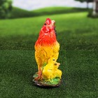 Садовая фигура "Курица", белый цвет, гипс, 14х26х32 см, микс - Фото 7
