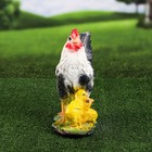 Садовая фигура "Курица", белый цвет, гипс, 14х26х32 см, микс - Фото 3