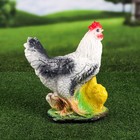 Садовая фигура "Курица", белый цвет, гипс, 14х26х32 см, микс - Фото 2