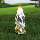 Садовая фигура "Курица", белый цвет, гипс, 14х26х32 см, микс - Фото 4