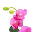 композиция 24 см орхидея с декором - Фото 2