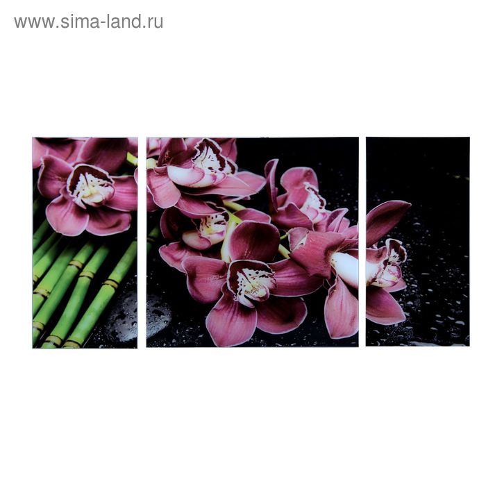 Картина модульная на стекле "Орхидея и бамбук" 2-25*50, 1-50*50 см,   100*50см - Фото 1