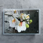 Часы настенные, серия: Цветы, "Белая орхидея", 25х35  см, микс - Фото 1
