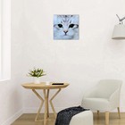 Картина на стекле "Взгляд кота" 50*50см - Фото 3