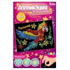 Аппликация пайетками "Попугай" - Фото 6