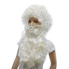 Карнавальный набор «Дед Мороз», кудрявая борода, парик - фото 8419398