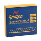 Лезвия для ножей ТУНДРА, сегментированные, 9 мм, 10 контейнеров по 10 лезвий, 100 шт. - Фото 8