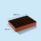 Набор для рассады: стаканы по 70 мл (24 шт.), поддон 29.5×20 см, МИКС - Фото 3