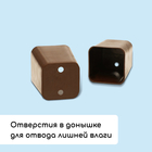 Набор для рассады: стаканы по 70 мл (24 шт.), поддон 29.5×20 см, МИКС - Фото 4