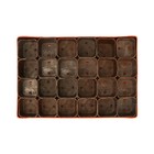 Набор для рассады: стаканы по 70 мл (24 шт.), поддон 29.5×20 см, МИКС - Фото 10