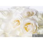 Фотообои К-011 «Невинность» (8 листов), 280 × 200 см - Фото 1