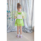 Карнавальный набор «Маленькое чудо», 2 предмета: крылья, юбка, 3-6 лет, цвет зелёный - Фото 1