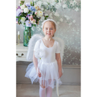 Карнавальный набор "Ангелочек", 2 предмета: юбка, крылья, 3-4 года, цвет белый - Фото 2