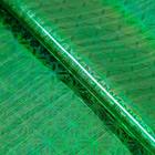 Пленка голография, зелёный, 70 х 100 см, рисунок МИКС - фото 297751397