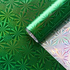 Пленка голография, зелёный, 70×100 см, рисунок МИКС - Фото 1