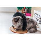 Комплекс для кошек с когтеточкой и аркой-чесалкой - фото 8254717