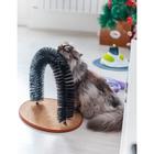 Комплекс для кошек с когтеточкой и аркой-чесалкой - Фото 6