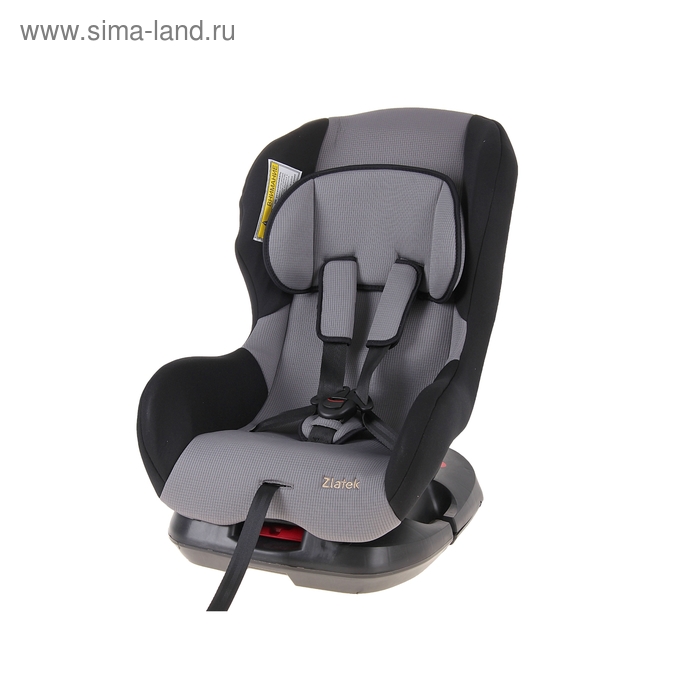 Автокресло Galleon, группа 0+/1, цвет серый - Фото 1