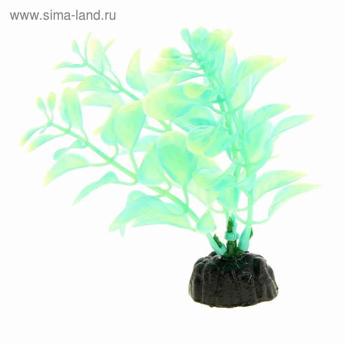 Растение, светящееся в темноте, 10см, Plant 57 - Фото 1