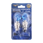 Колпачок на вентиль Cartage, светящийся, набор 2 шт., МИКС  (артикул 1037938)  большой выбор товаров оптом и в розницу по низким ценам с доставкой