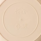 Кашпо для цветов подвесное «Алиция», 4.3 л, с поддоном, цвет белая глина - Фото 5