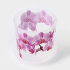 Горшок для орхидей с поддоном «Деко», 2.4 л, пластиковый, прозрачный - Фото 3