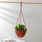 Кашпо для цветов подвесное «Алиция», 3 л, с поддоном, терракотовый - Фото 1