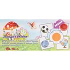 Настольная игра "Волшебный сундучок. Найди и сравни. Формы" - Фото 2