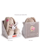 Мягкая игрушка «Зайка Ми балерина», 23 см - Фото 7