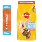 Сухой корм Pedigree для щенков всех пород, курица, 13 кг 1161325 - фото 10963499