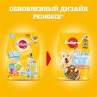 Сухой корм Pedigree для щенков всех пород, курица, 13 кг - Фото 2