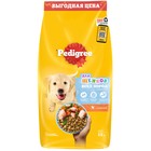 Сухой корм Pedigree для щенков всех пород, курица, 13 кг - Фото 11