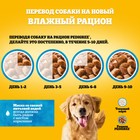 Влажный корм Pedigree для собак, курица в соусе, пауч, 85 г - Фото 8