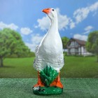 Садовая фигура "Гусь" 30х18х40см - Фото 2