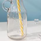 Бутыль стеклянная с крышкой и трубочкой, 200 мл, 7,5×6×14,5 см, цвет МИКС - фото 4548556