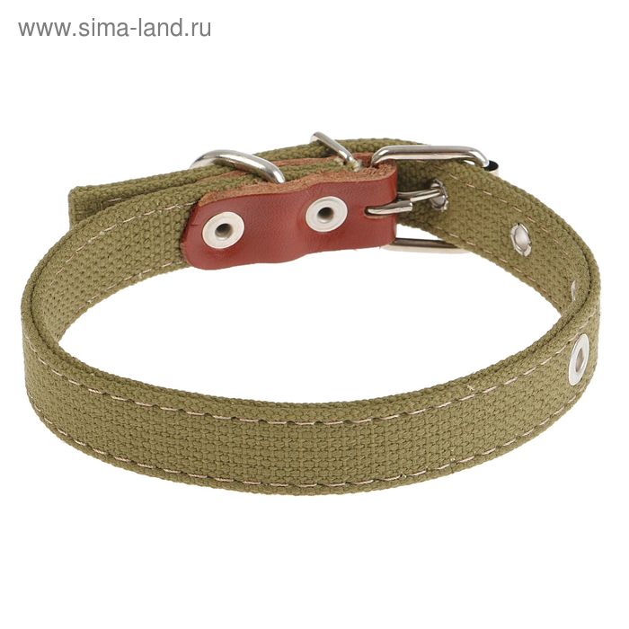 Ошейник брезентовый двухслойный, 45 х 2 см микс цветов - Фото 1