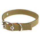Ошейник брезентовый двухслойный, 45 х 2 см микс цветов - Фото 2