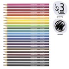 Карандаши 24 цвета ErichKrause ArtBerry премиум, дерево, трехгранные, яркий и мягкий грифель 3.0 мм, картонная упаковка, европодвес - Фото 2