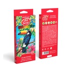 Карандаши 24 цвета ErichKrause ArtBerry премиум, дерево, трехгранные, яркий и мягкий грифель 3.0 мм, картонная упаковка, европодвес - Фото 4