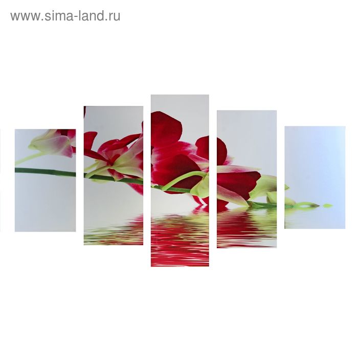 Картина модульная на подрамнике "Красная орхидея" 2-43х25, 2-58х25, 1-72х25 см, 75*135см - Фото 1