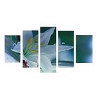 Картина модульная на подрамнике "Роса на лилии" 2-43х25, 2-58х25, 1-72х25 см, 75*135см - Фото 1