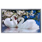Картина "Два Лебедя" 66х106см рамка МИКС - фото 5871216